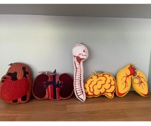 Untitled design - 2025-07-30T171529.069